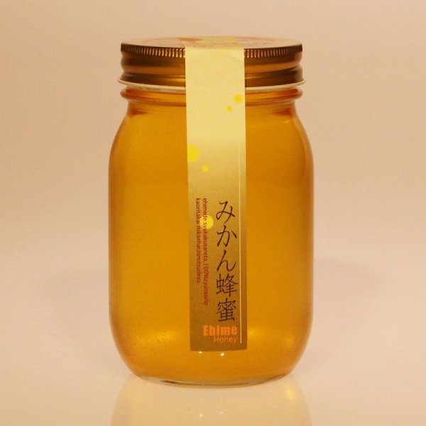 画像1: みかん蜂蜜 （600グラム） (1)